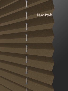 Parrot Plicell Perde 05